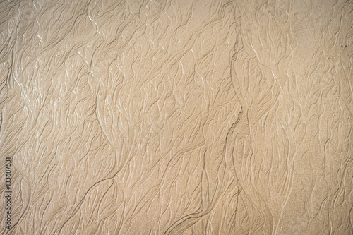 A whole page of ripples in wet sand background texture after tide. photo