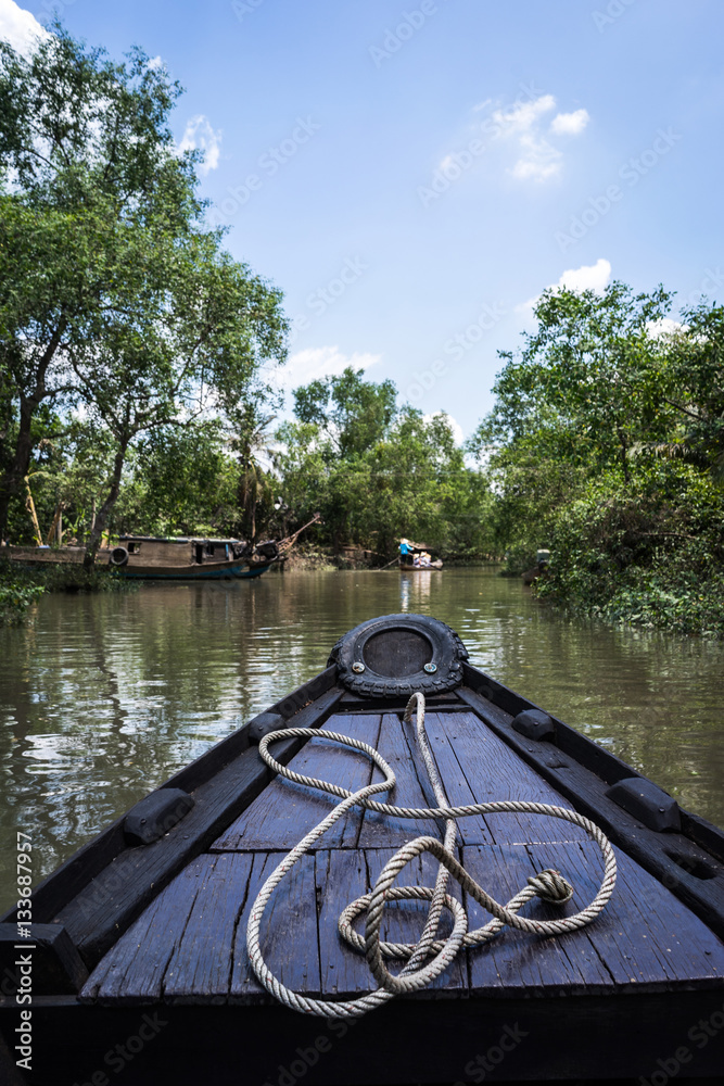 Fototapeta premium Tourist enjoying Mekong delta cruise with daily trips to local sights.