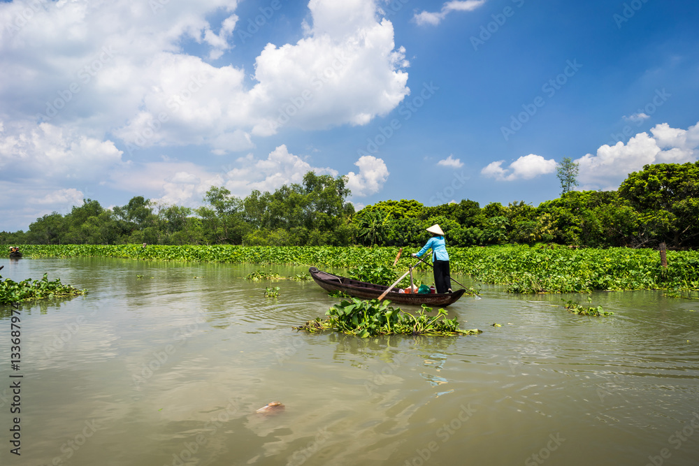 Fototapeta premium Tourism rowing boat in Tra Su flooded indigo plant forest in An Giang, Mekong delta, Vietnam.