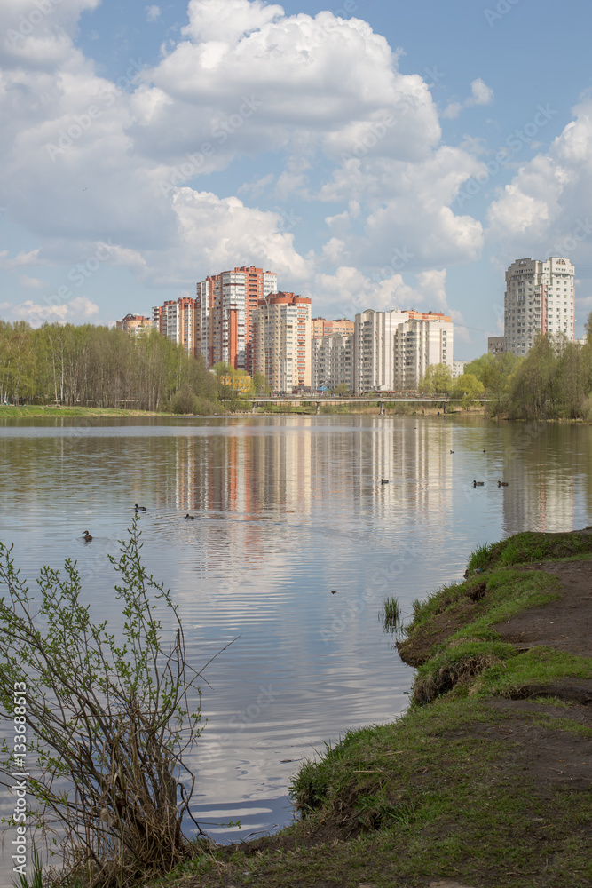 На берегу реки