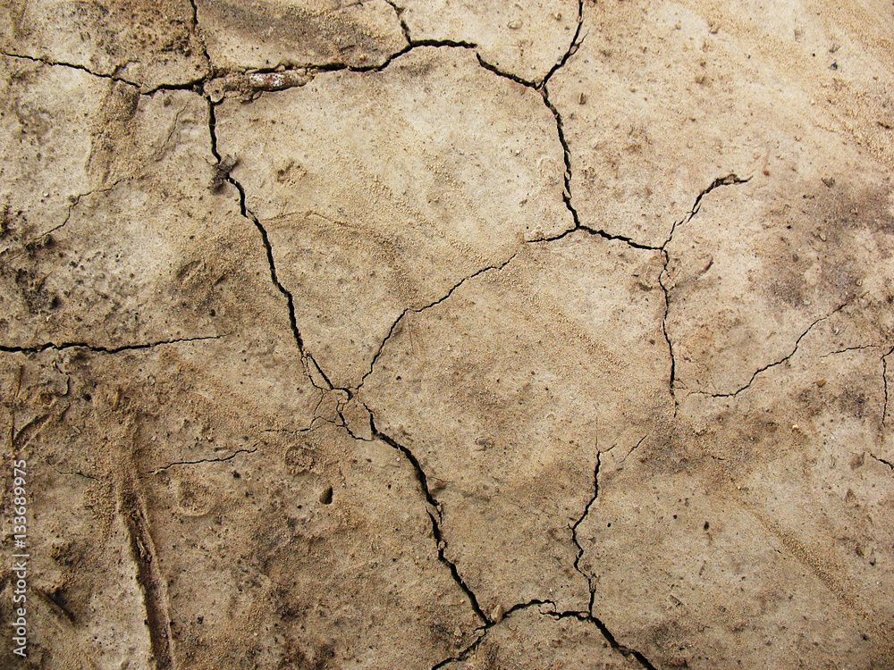 Fototapeta premium Cracking Mud