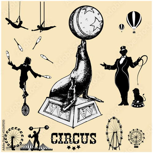Circus and amusement park vector illustrations. Circus seal