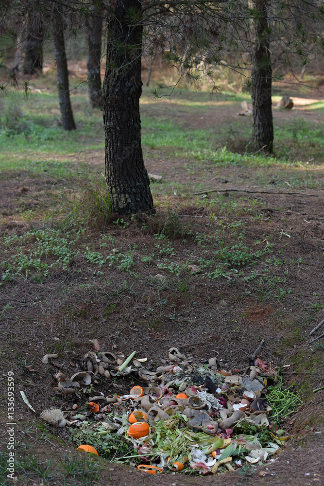 compost ground hole