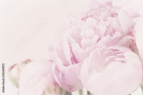 Abstract flower background.