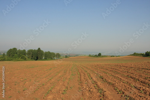 Furrows row pattern in a plowed field