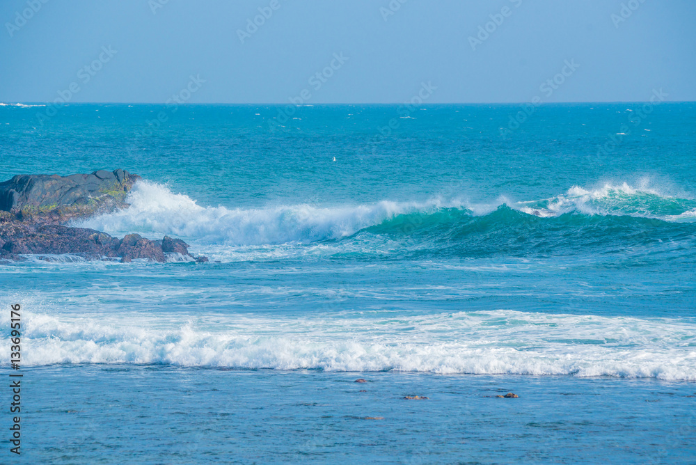 Beautiful sea wave