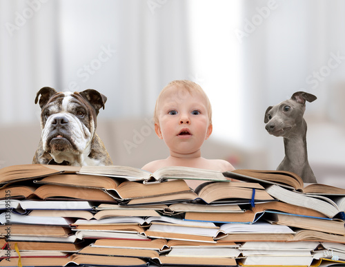 Photography Baby, dogs and books