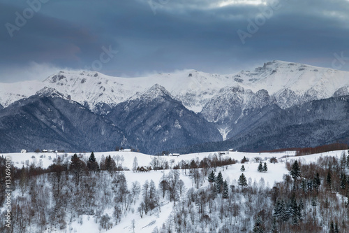 Winter landscape 