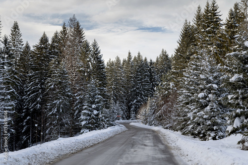 Beautiful mountain road in winter