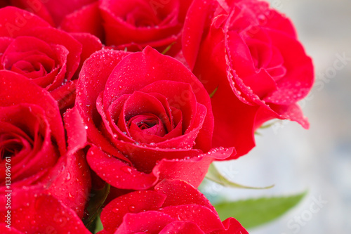 Close up of red roses and water drops.