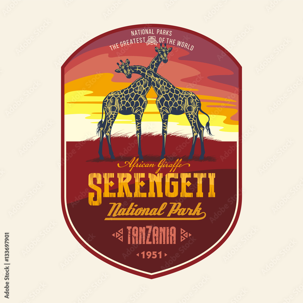 Naklejka premium Жирафы на закате, Национальный парк Серенгети, Танзания, иллюстрация, вектор