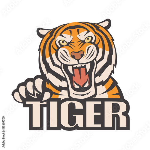 Fototapeta Naklejka Na Ścianę i Meble -  image of angry tiger head
