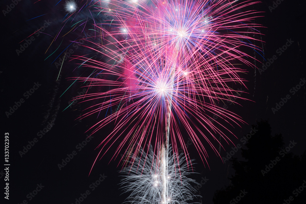 Fototapeta premium Fireworks