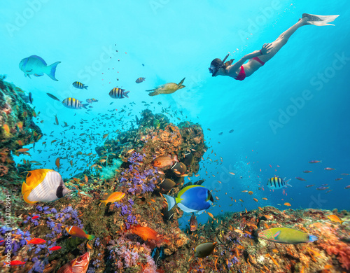 Beautiful coral reef with young freediver woman