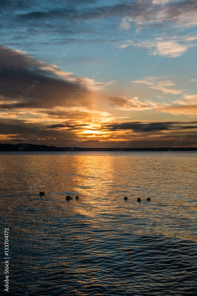 Fototapeta premium Pacific Northwest Sunset 6