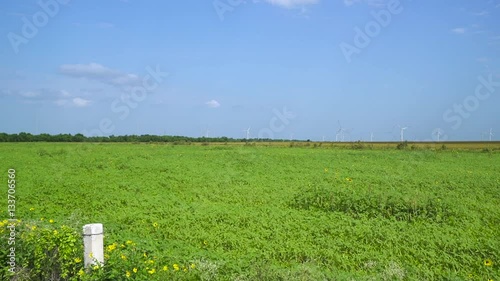 Breakdown or the prairie in spring/ Paneo a la pradera en primavera photo