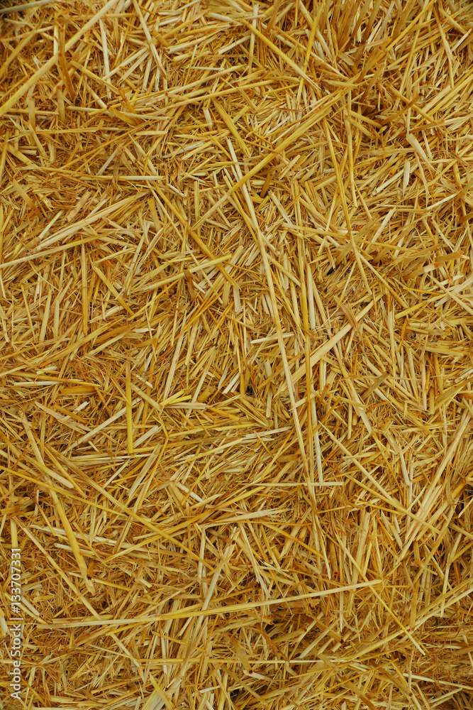 Close up of straw background texture Close up of straw background texture