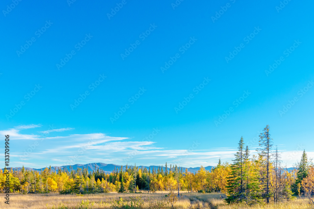 Autumn forest and field landscape Autumn forest and field landscape