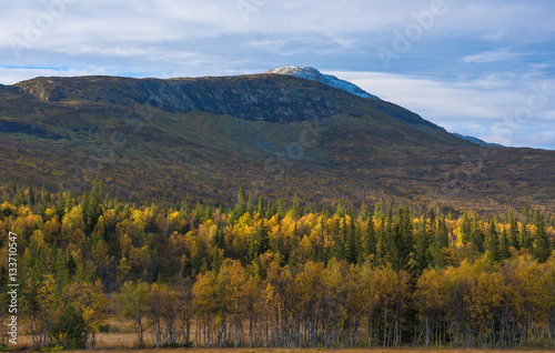 Autumn forest in the foreground and snowy mountain top in the back