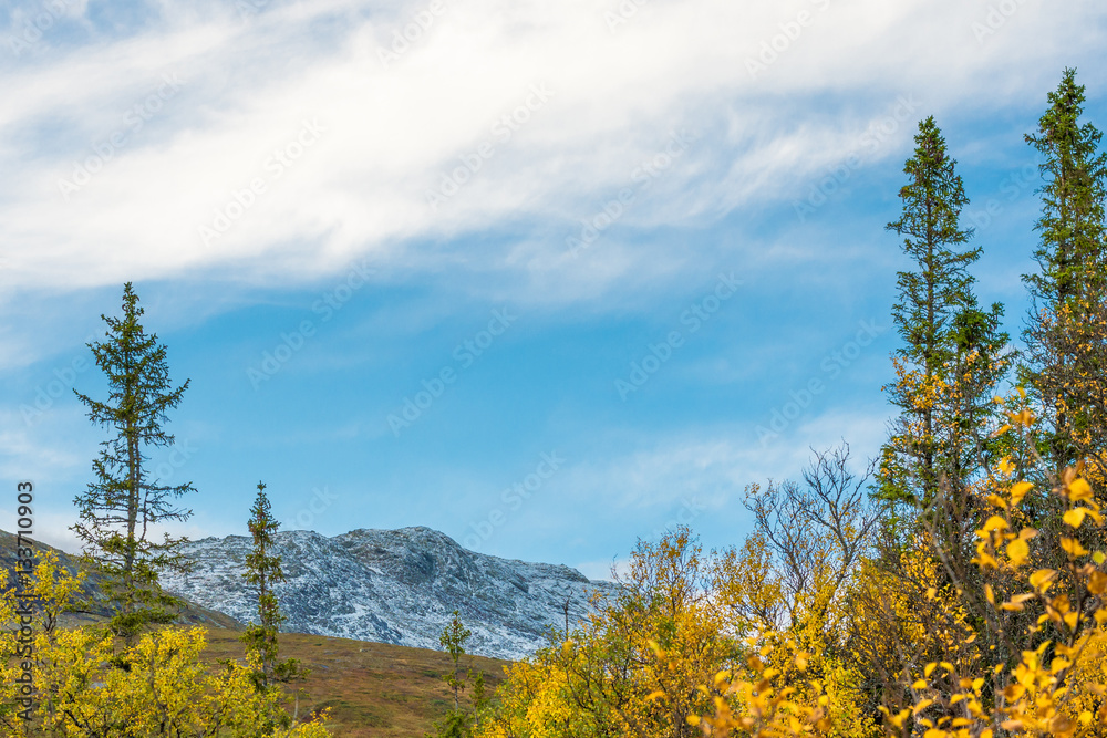 Idyllic landscape with snowy mountain top and autumn trees