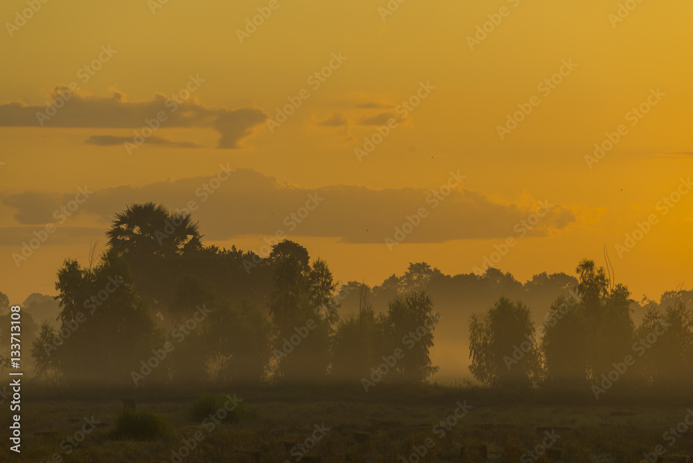 Thailand local field with sunset Thailand local field with sunset