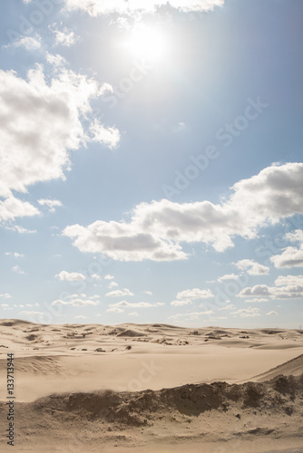 Paisaje de un desierto solitario a medio d  a  Landscape of a lonely desert at noon