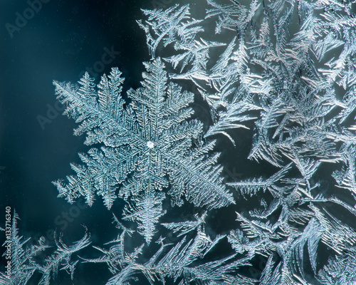 Surface Hoar Frost Crystals