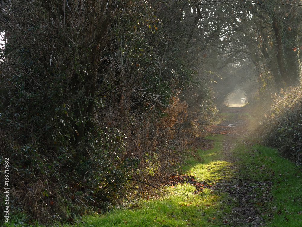 Path Path