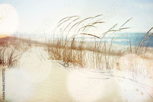 Fotobehang Beach Grass Blowing in the Wind