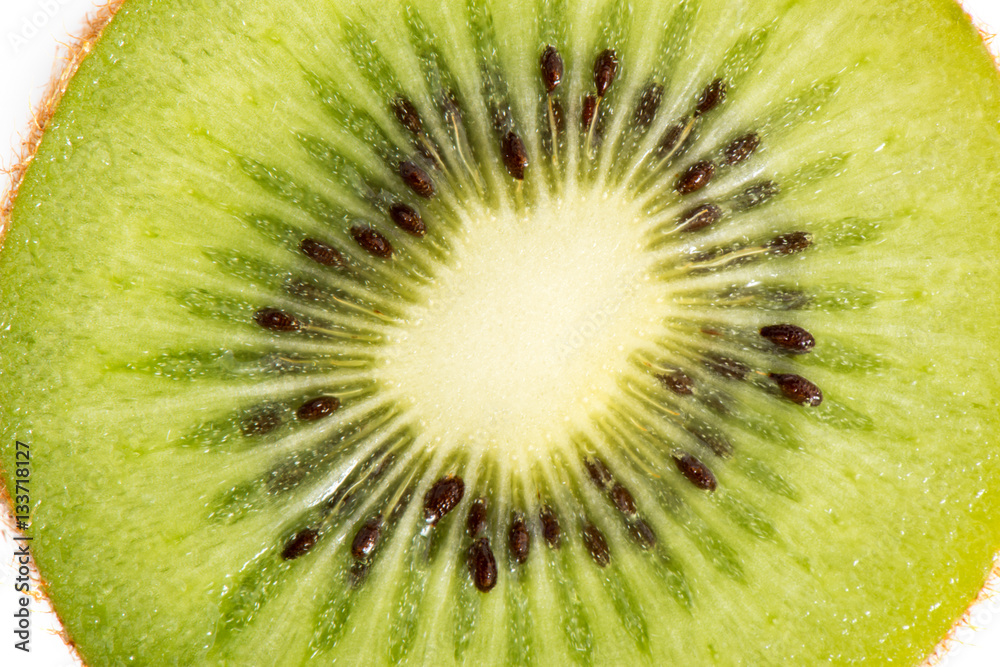 Kiwi fruit macro