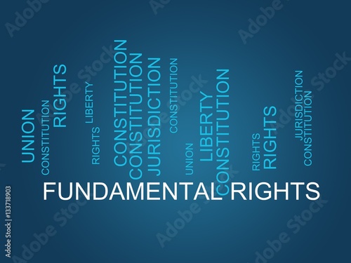 Tablou pe pânză Fundamental rights