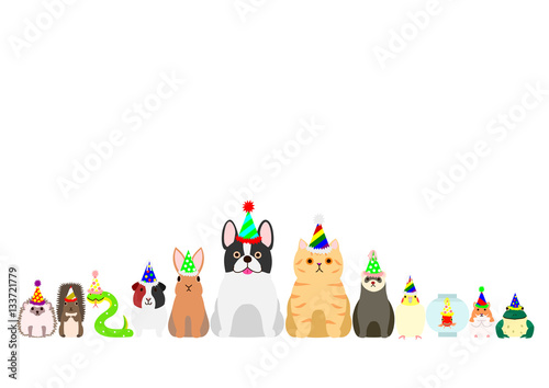 pet animals with party hat border set