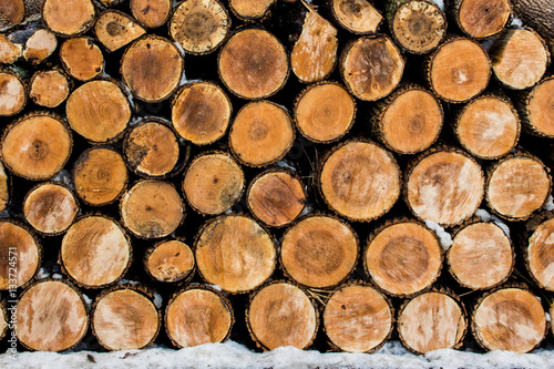 Pile of Cut Wood
