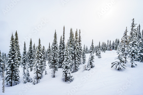 Skiing in a Winter Landscape in the High Alpine on the Hills surrounding the Alpine Village of Sun Peaks in the Shuswap Highlands of central British Columbia, Canada