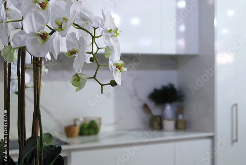 White style kitchen interior