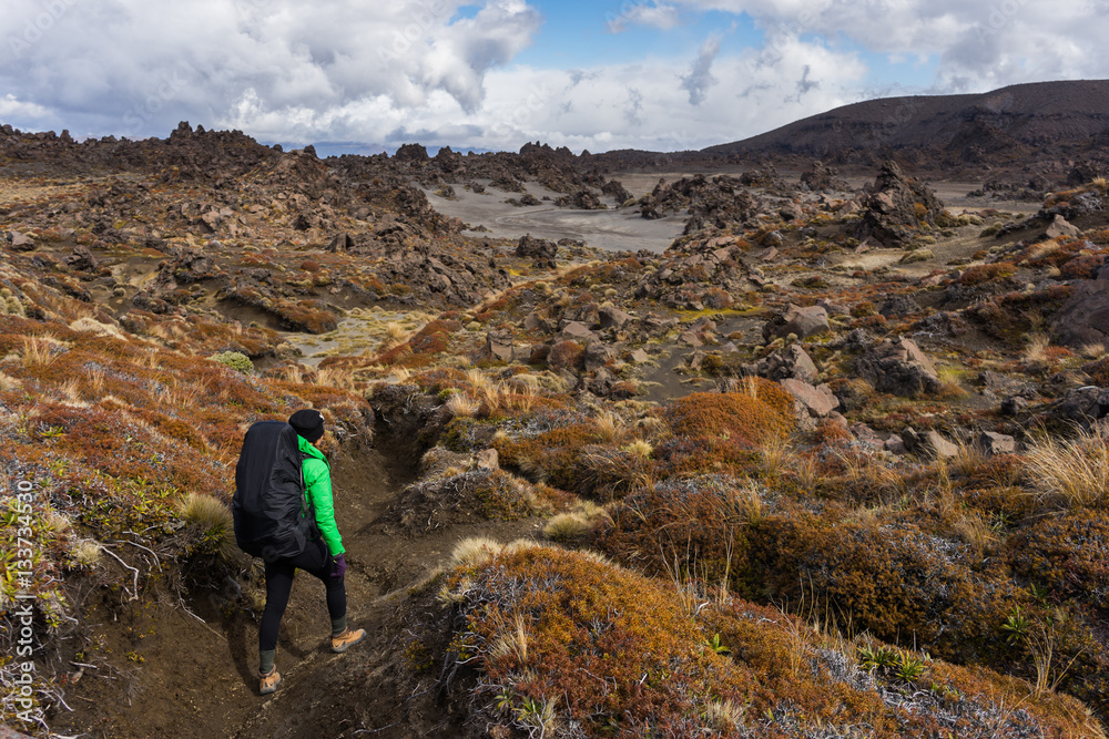 Woman hiker walking on dessert area full of volcanic rocks forma