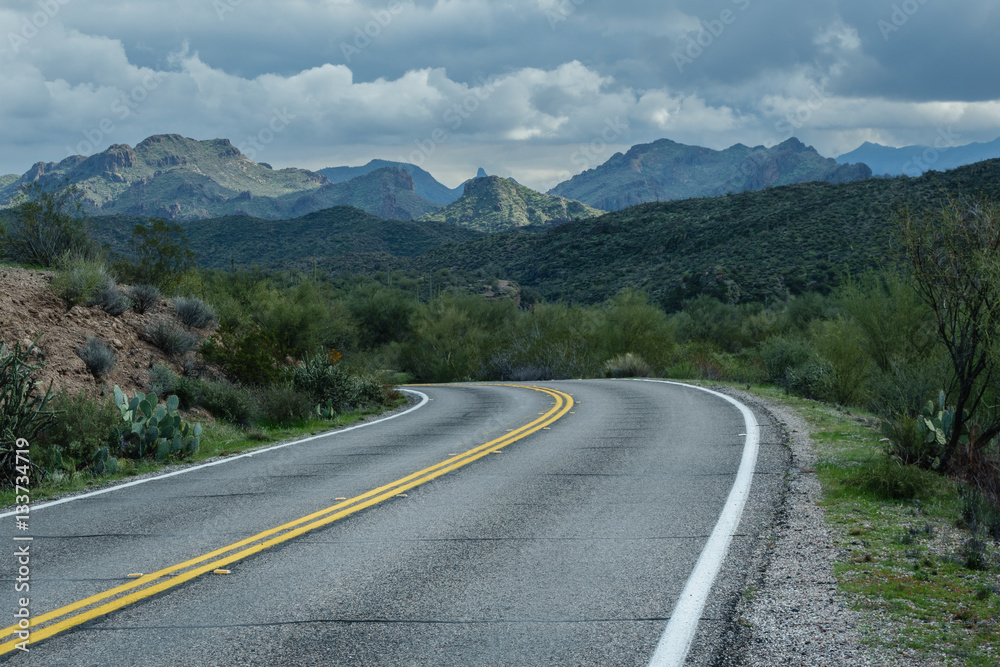 Beautiful Bush Highway Arizona, USA
Beautiful Bush Highway Arizona, USA