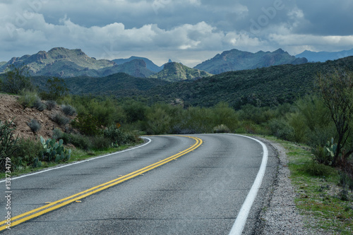 Beautiful Bush Highway Arizona  USA  