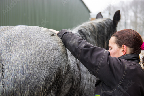 horse, equine physical,osteopathy therapy