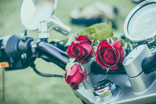 rose red rose placed on a motorcycle. photo