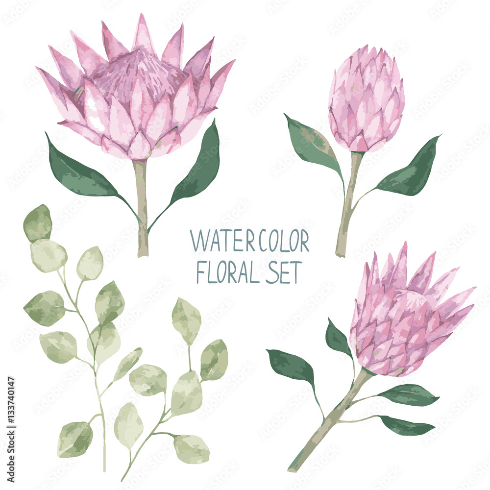 Protea flower tattoo design Poster for Sale by NicolasDurand  Redbubble