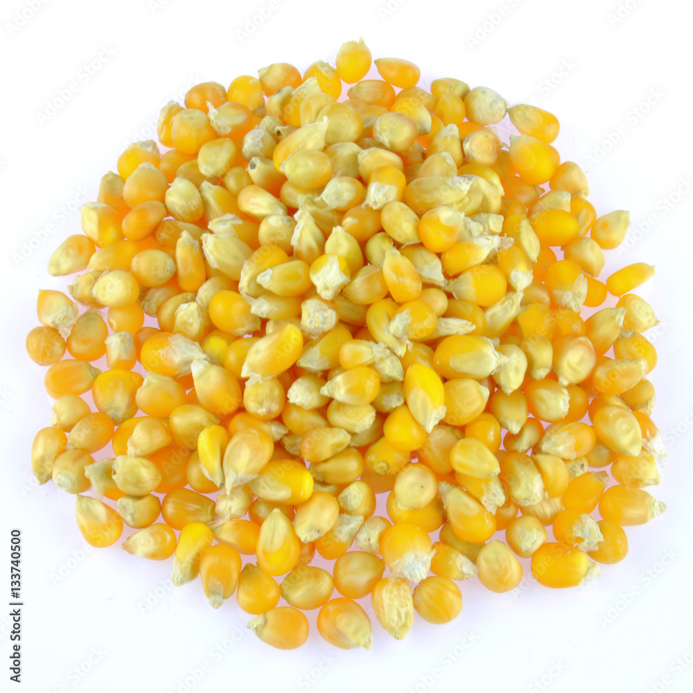 Corn seeds isolated on white background Corn seeds isolated on white background