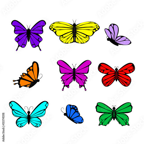 Butterflies colorful collection