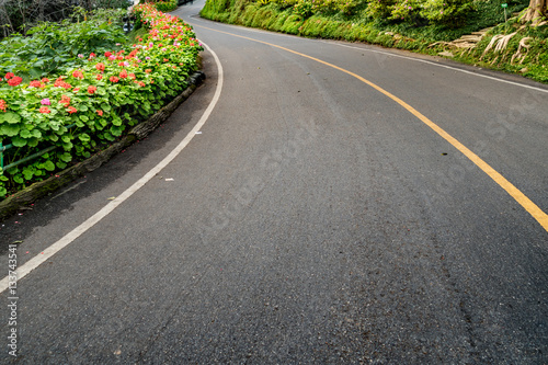 Road in the park