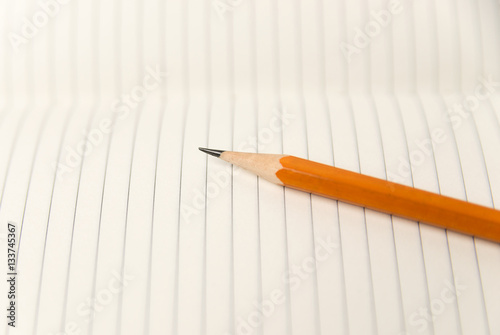 Pencil on the pages of an open notebook for records