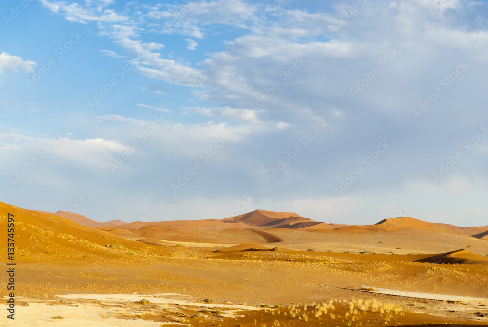 Namib Desert, Namib-Naukluft National Park of Namibia.