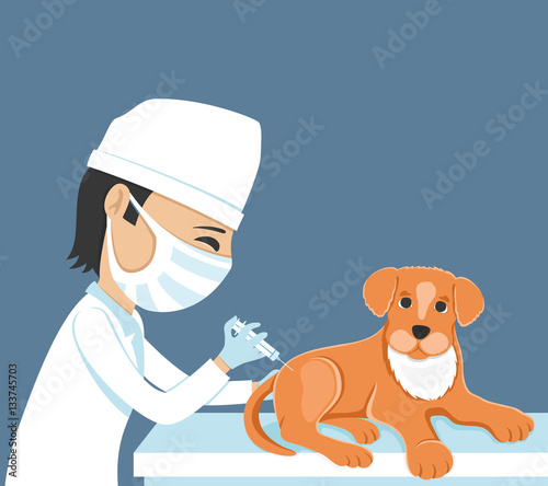 Veterinarian makes injection.