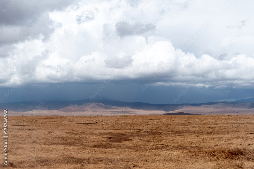 Ngorongoro Natural park in Tanzania, Africa