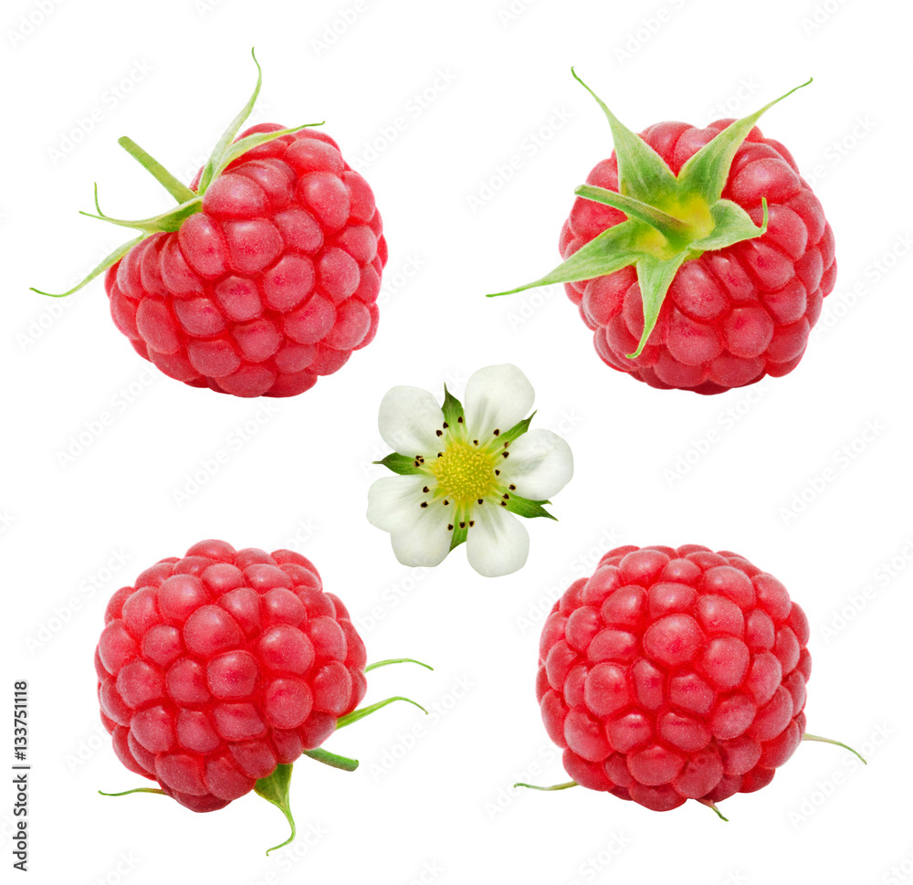 Set of fresh ripe raspberry berries and flower isolated on white background. Design element for product label, catalog print, web use. Set of fresh ripe raspberry berries and flower isolated on white background. Design element for product label, catalog print, web use.