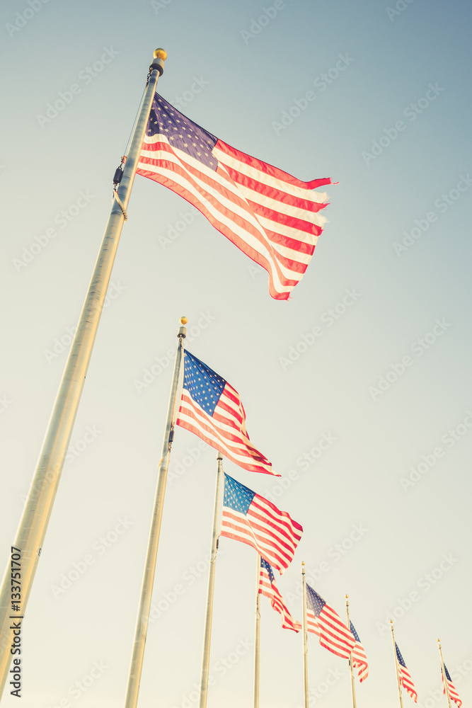 American flags on flagpoles American flags on flagpoles